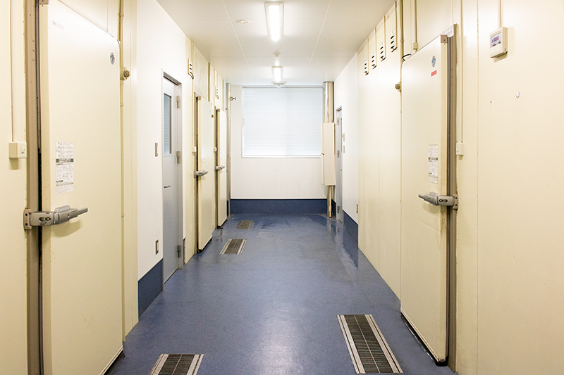 ストックエリア